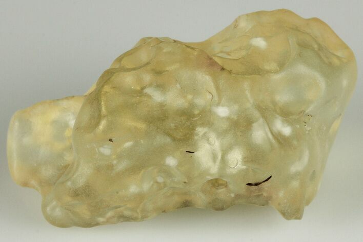 Libyan Desert Glass ( g) - Meteorite Impactite #188444